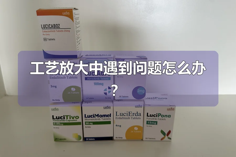 工艺放大中遇到问题怎么办？
